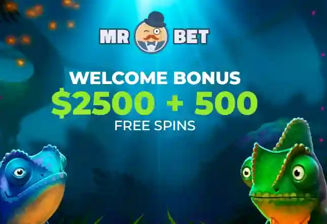 Mr Bet Casino Interface
